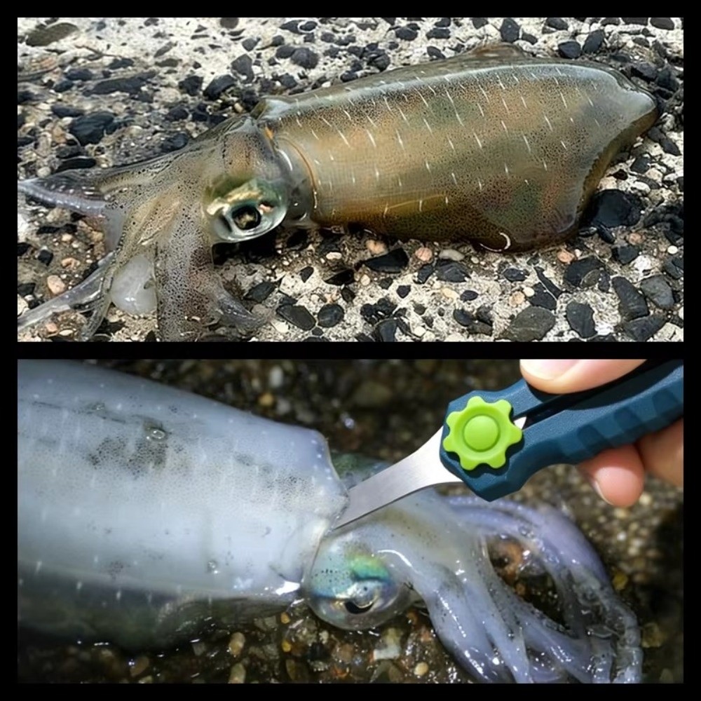 مقص خيط صيد من الفولاذ المقاوم - مراجعة Fishing Line Cutter وسعره